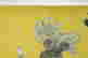 item-137098066=6