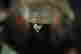 item-137098101=10