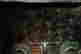 item-137098101=7