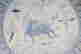 item-137098219=5