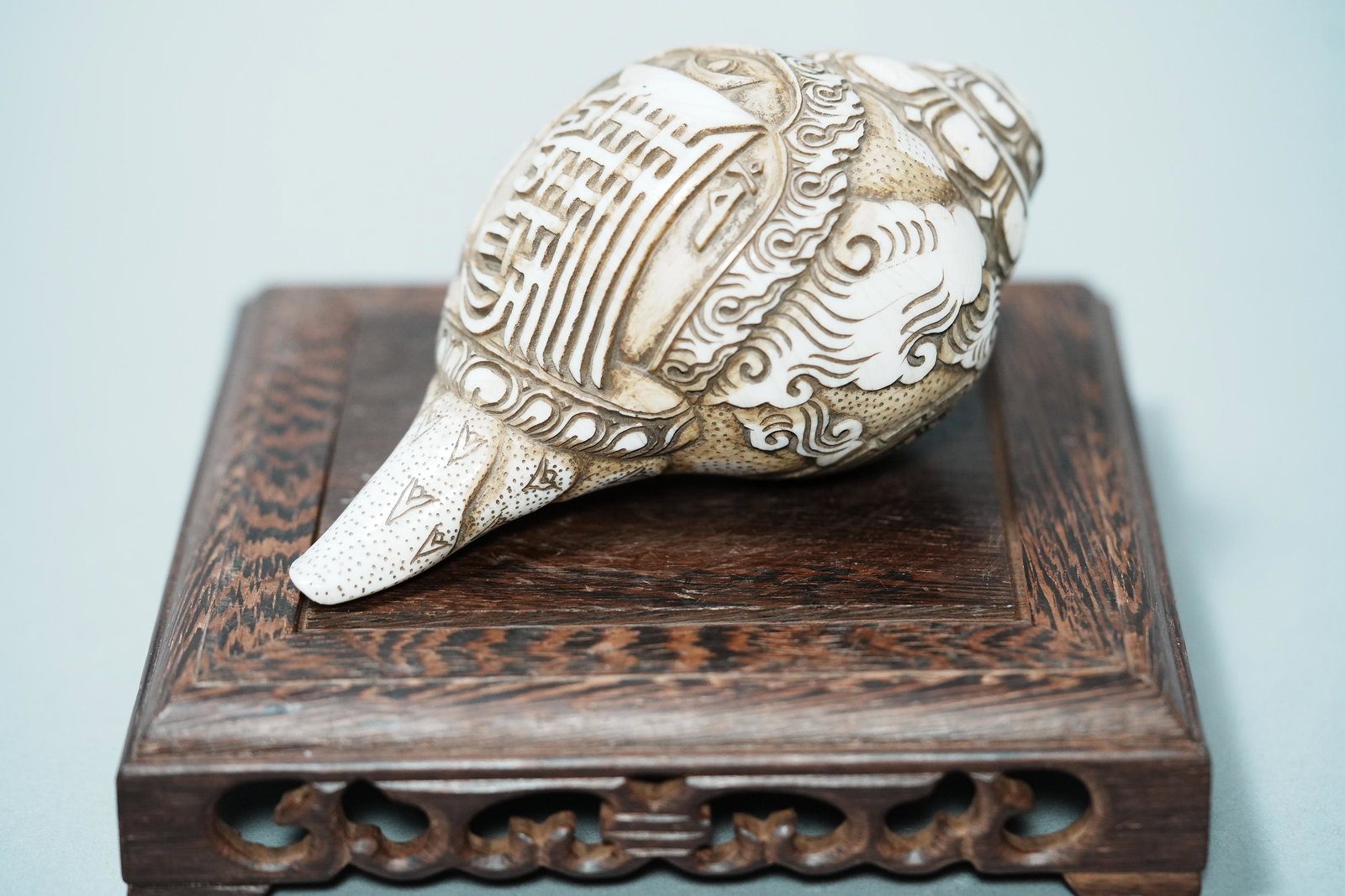 Tibetan fine conch (1 of 7)