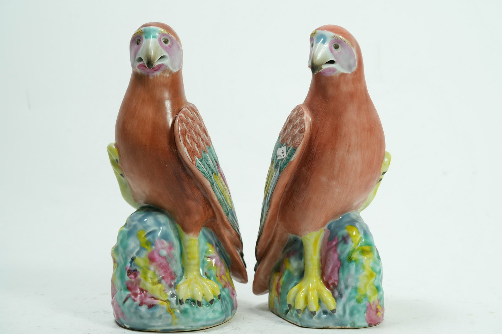 2 pcs Chinese parrots (1 of 7)