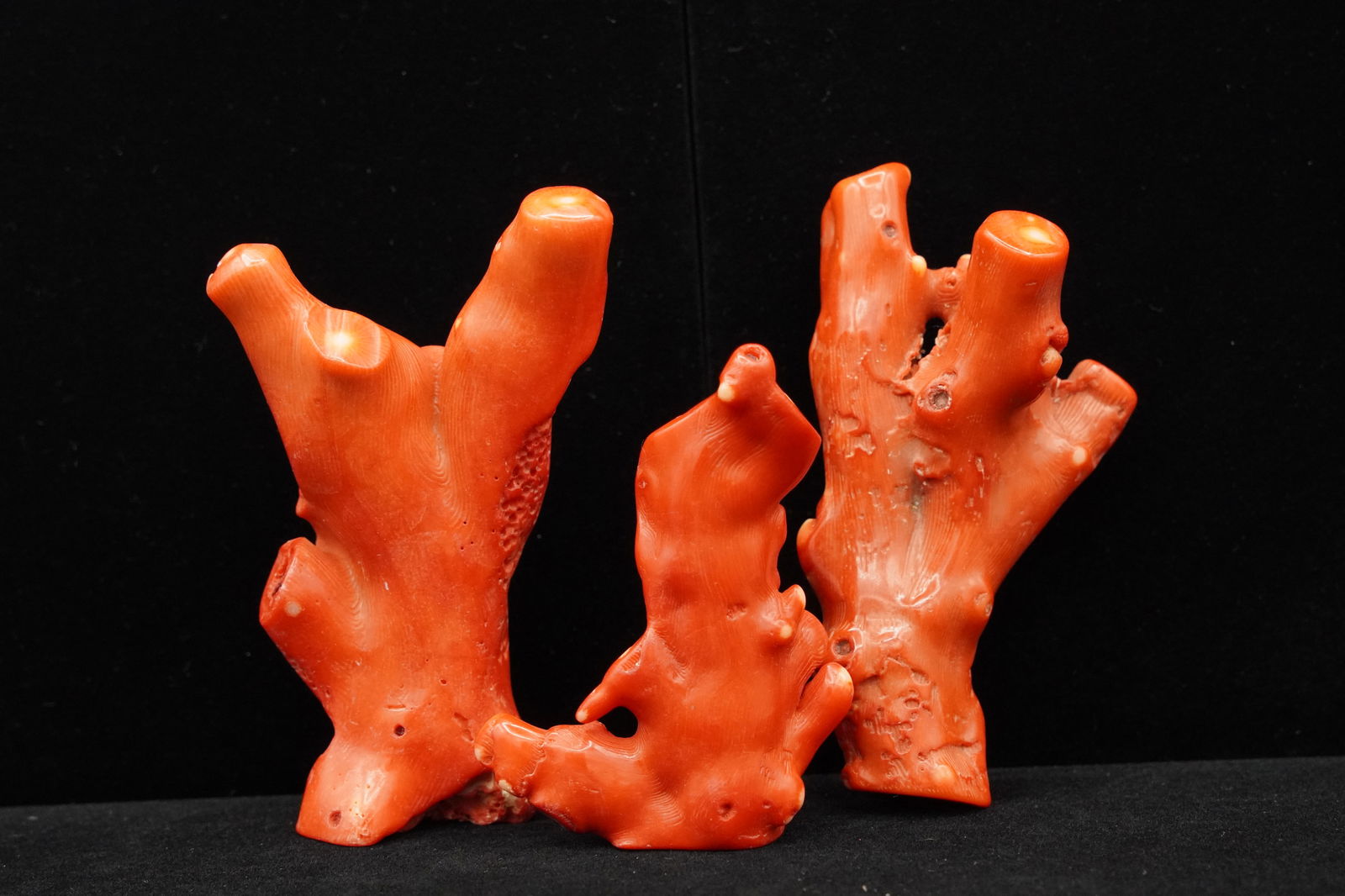 3 pcs Chinese coral fragments (1 of 5)