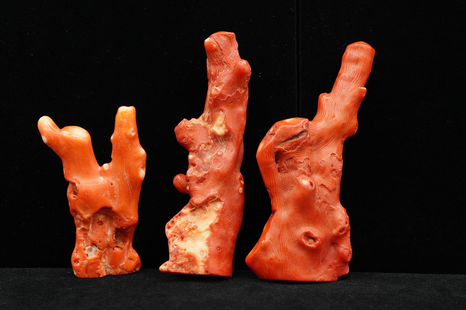 3 pcs Chinese coral fragments (1 of 6)