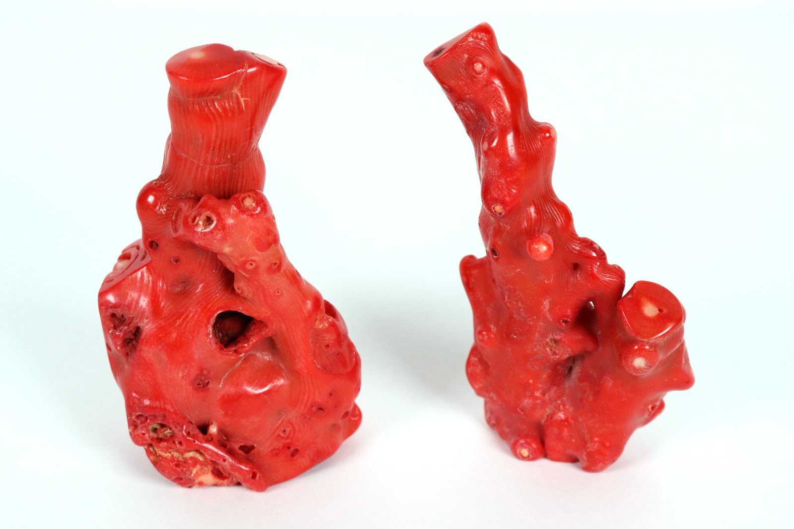 2 pcs coral fragment (1 of 7)