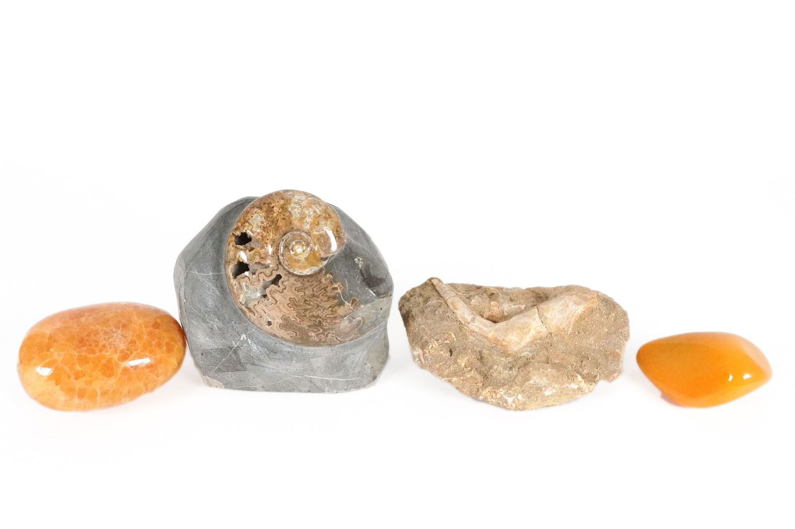 Lots stone fossil items: Lots stone or fossil items/