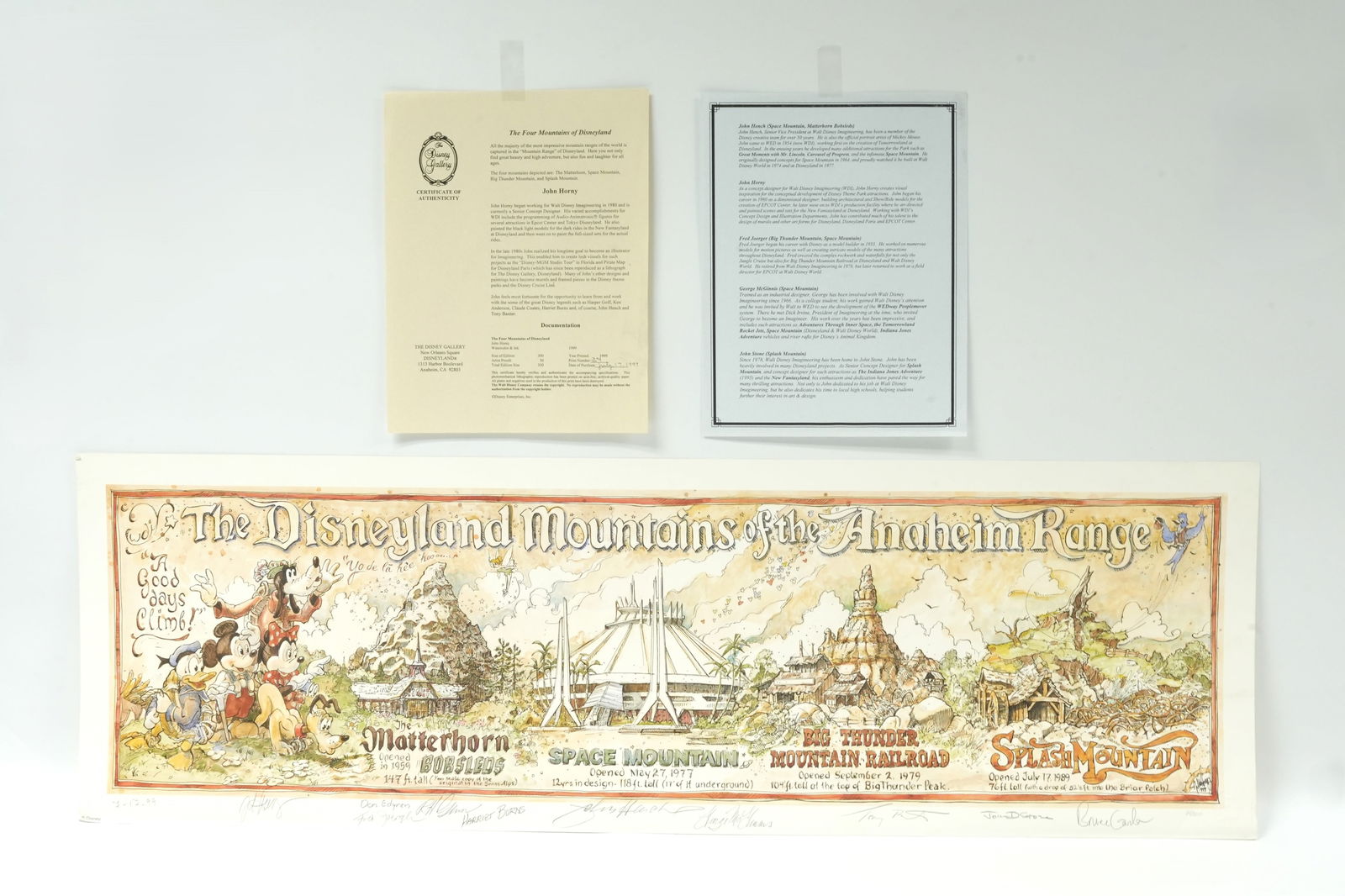 Mountains of Disneyland art (1 of 8)