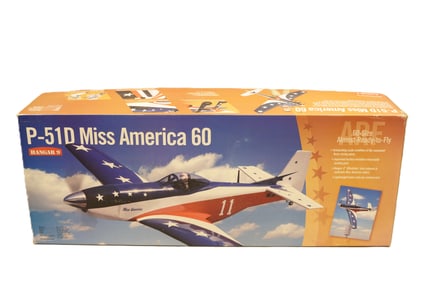 A large model RC airplane in box. Condition selling it as is. H: 11" x W: 43."