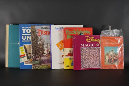 Lots vintage Disneyland items