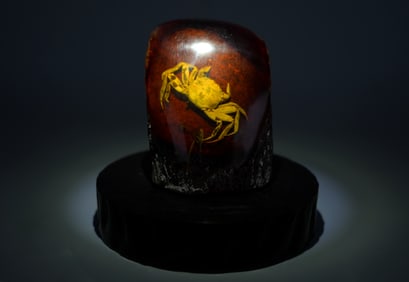 A heavy set composite with crab
