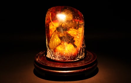 A fine composite with insects