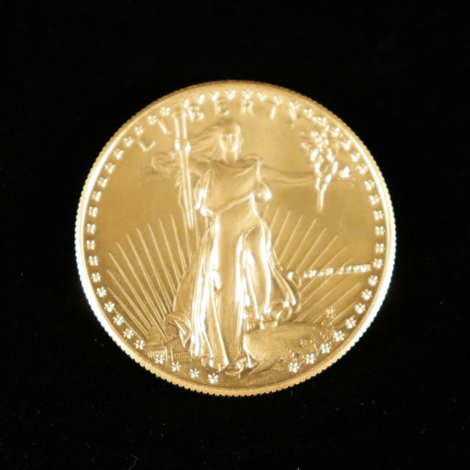 1 oz U.S. gold coin (1 of 7)