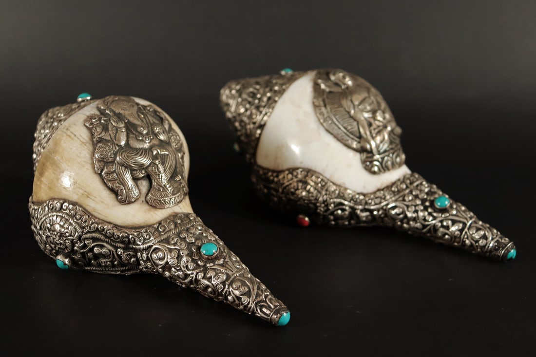 2 Tibetan fine conch (1 of 7)