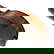 item-208071571=8