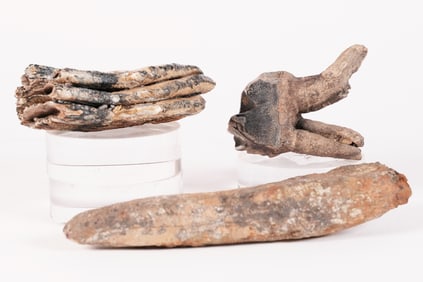 Lots fossilized items