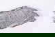 item-210143519=3