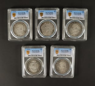 Lots Chinese coins ungraded