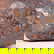 item-210143738=6