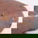 item-210143739=7