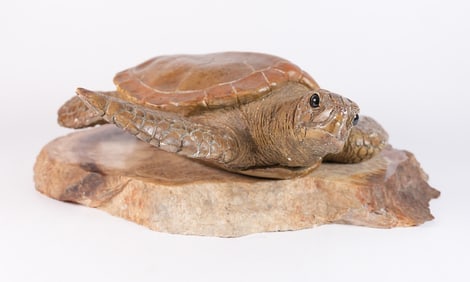 A wooden turtle with petrified wood