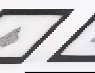 A meteorite cut specimen: A meteorite cut specimen.