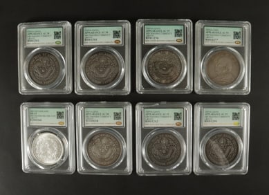 Lots Chinese coins ungraded