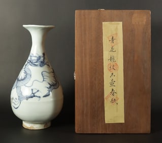Chinese b/w dragon vase with box