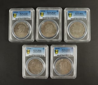 Lots Chinese coins ungraded