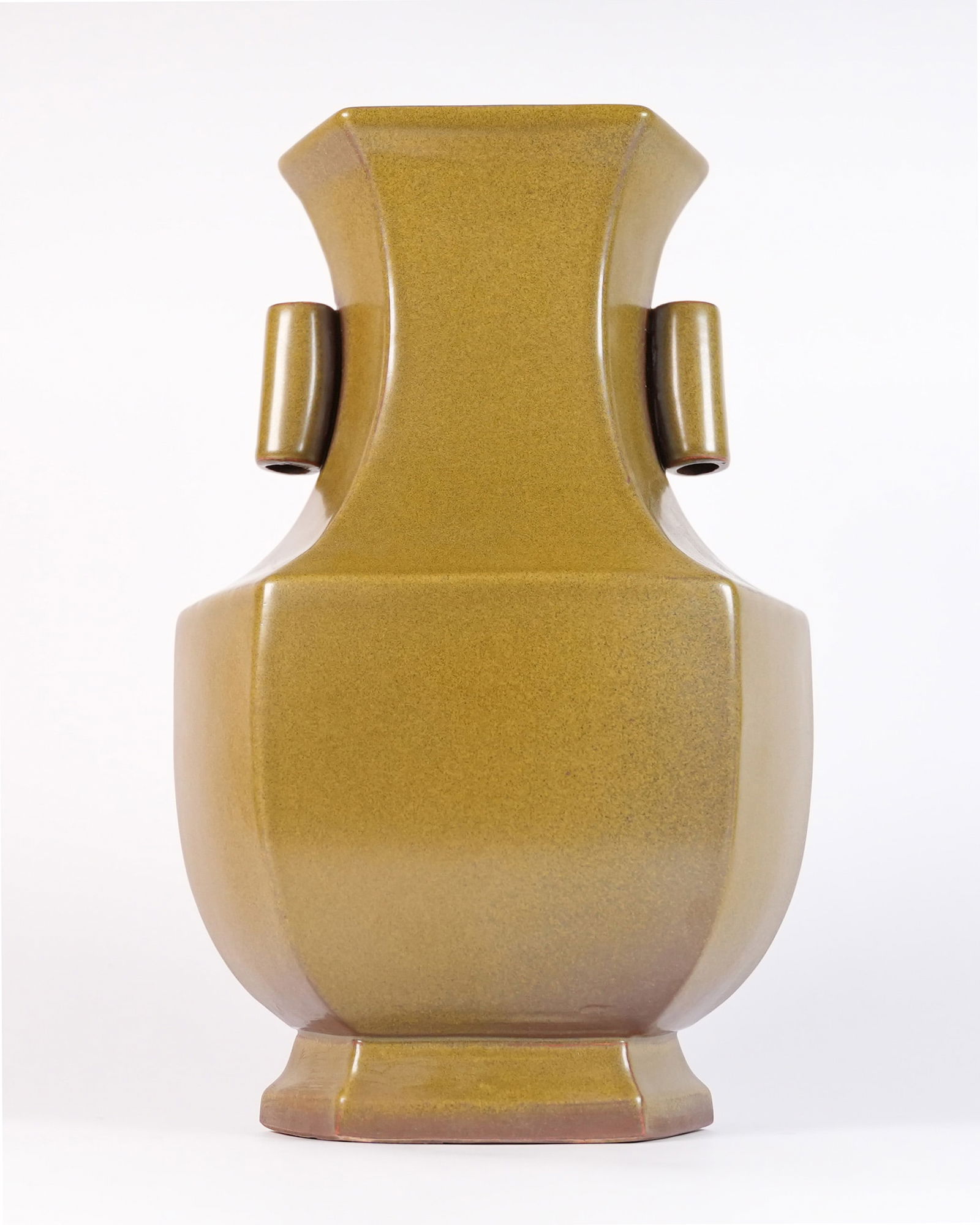 Chinese fine handled vase (1 of 7)