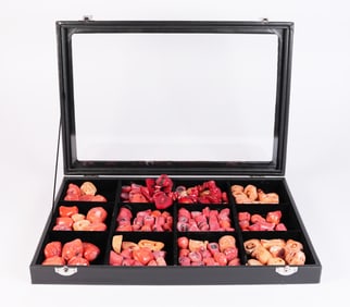 Lots fine coral specimen