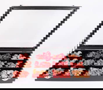 Lots fine coral specimen: Lots fine coral specimen.