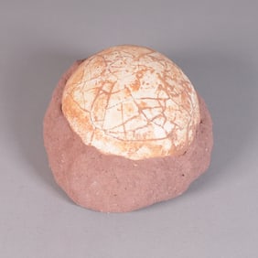 A fossilized item