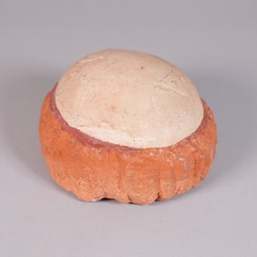 A fossilized item