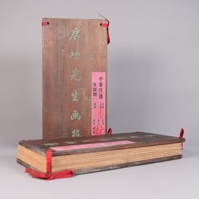 Lots Chinese art albums wooden cover
