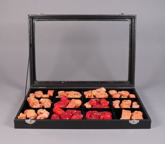 Lots corals in a box