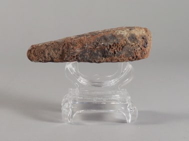 A T-Rex fossilized tooth