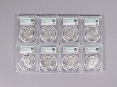 Lots foreign coins ungraded