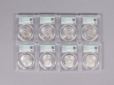 Lots foreign coins ungraded