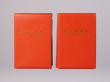 Lots Chinese coins ungraded