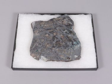 A meteorite specimen