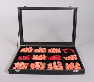 Lots coral specimen in box