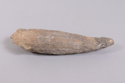 A fossilized item