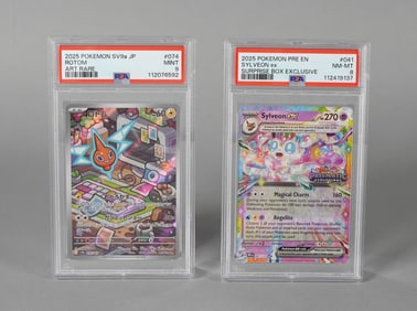 Lots 2025 Pokemon cards PSA