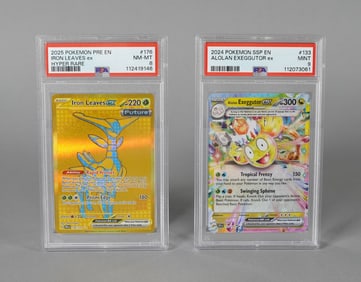 Lots 2024 2025 Pokemon cards PSA