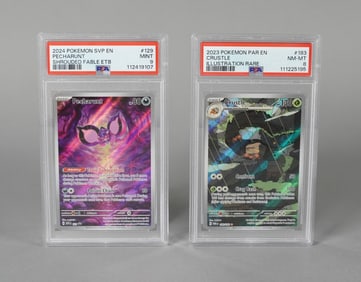 Lots Pokemon cards PSA graded