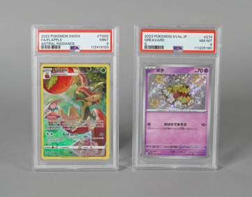Lots Pokemon cards PSA graded
