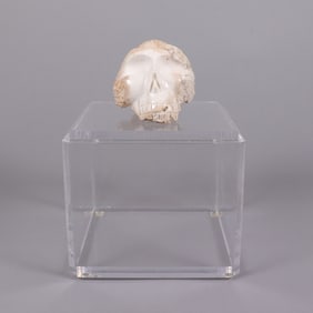 A finely carved specimen