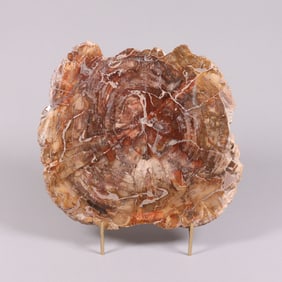 A possible petrified wood