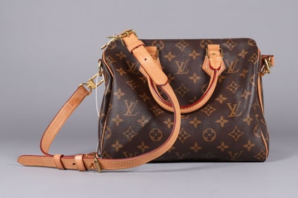 Louis Vuitton speedy 25 bag authentic