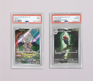 Lots Pokemon card PSA
